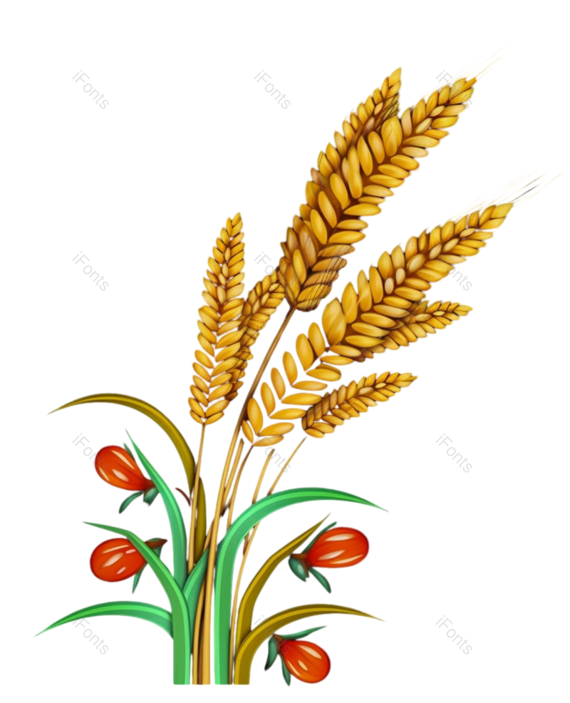 叶子图片,装饰元素,芒种PNG,元素免抠素材